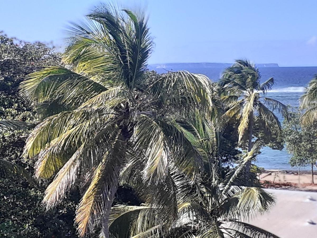 Studio Vue Sur Mer Le Moule Extérieur photo